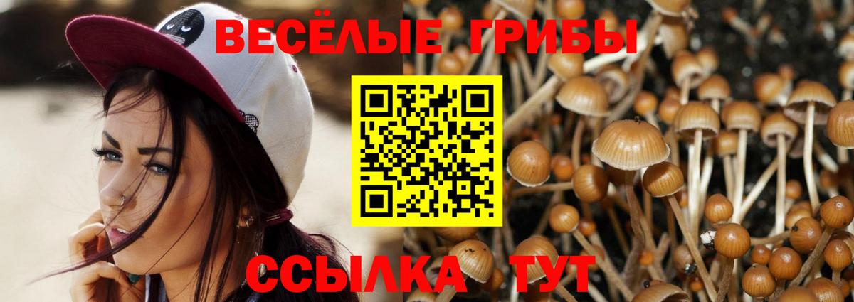 купить наркоту  Псилоцибиновые грибы MAGIC MUSHROOMS  Вход с VPN  Иваново 